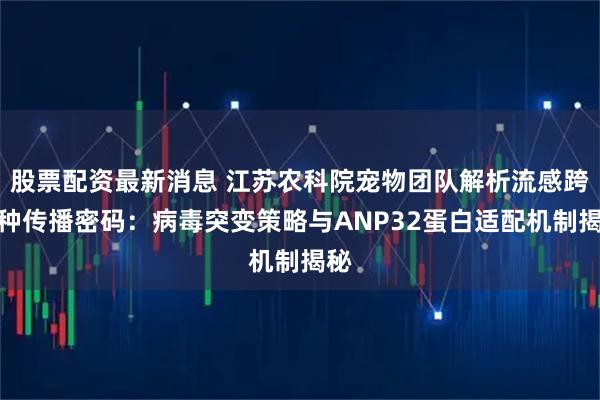 股票配资最新消息 江苏农科院宠物团队解析流感跨物种传播密码:病毒突变策略与ANP32蛋白适配机制揭秘